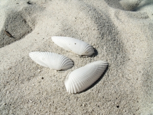 Entrar areia
