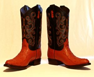 Lamber as botas de alguém
