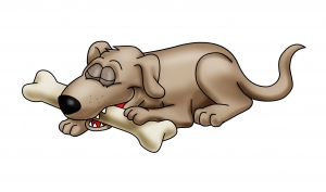 O nome de alguém não ser osso para andar na boca de cachorro