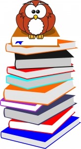 Enfiar a cara nos livros