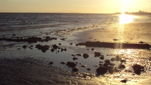 Nadar e morrer na praia