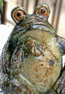 Botar o nome de alguém na boca do sapo